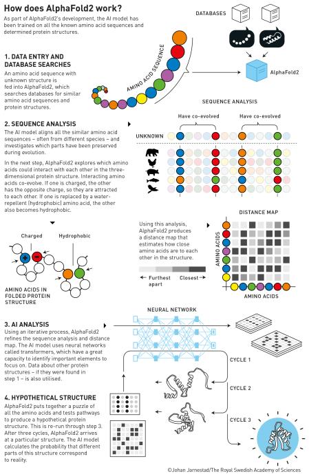 Estructura del Alphafold2.